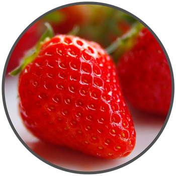 BotR - 10ml - Erdbeere 0 mg/ml