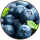 BotR - VP - 6 mg/ml Blaubeere