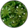 6 mg/ml Woodruff