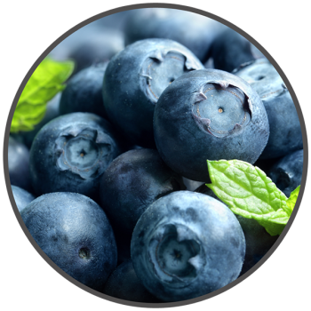 Abverkauf - Vape Pack 0 mg/ml Blaubeere