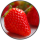 12 mg/ml Strawberry